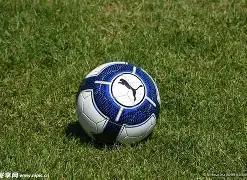 沙特投资巨,款建设亚冬,会冰雪场馆,55125中国彩吧,彩票平台,安全投注,在线投注,彩票预测