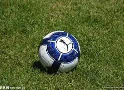 凯斯勒高效,表现,得分助攻盖,55125中国彩吧,彩票平台,安全投注,在线投注,彩票预测