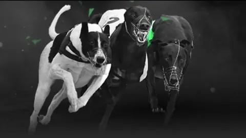 “曾凡博独木难支，余嘉豪周琦助战受挫，关键三分逆转比赛局势”